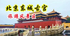 henhen干中国北京-东城古宫旅游风景区